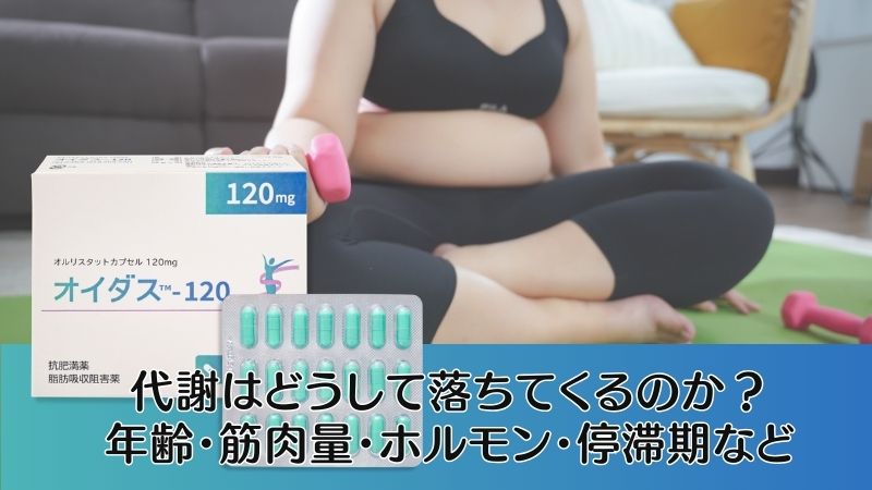 代謝ってどうして落ちるのか？